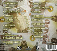 Burna Boy African Giant CD - Afro Crafters