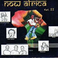 Now Africa Volume 2 CD