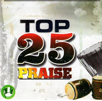 Top Twenty Five 25 Gospel Praise CD